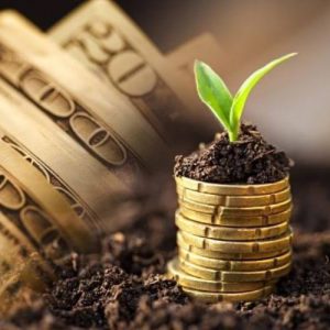 Intrapreneur's Unique Proposition